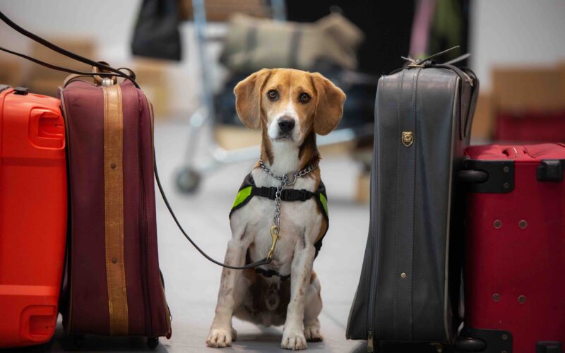 Border Security Ramps Up as Trade and Travel Continue to Grow