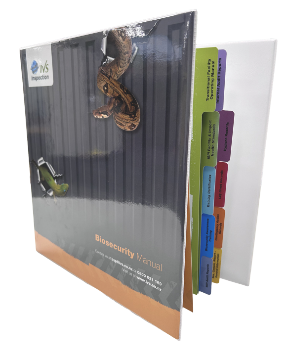 Folder  With Tabs Inside