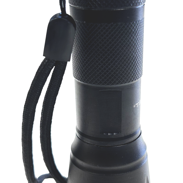 Torch
