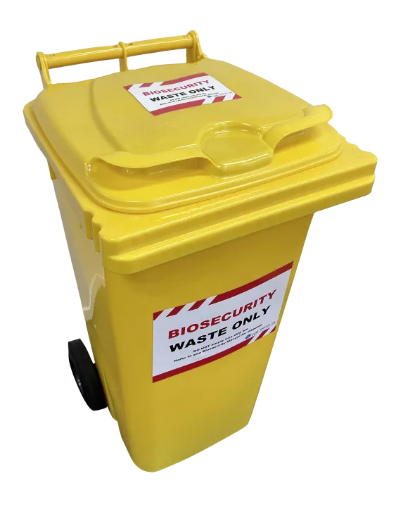 Bin  Angle