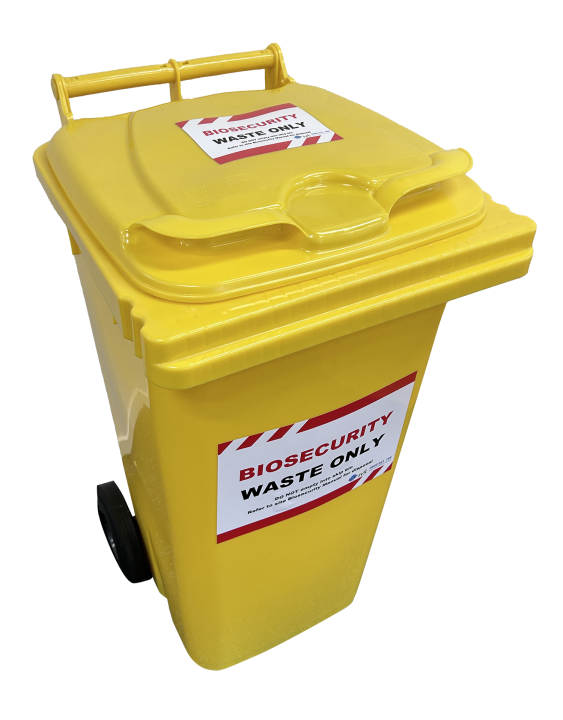 Bin  Angle
