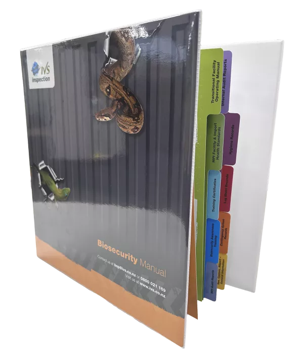 Folder  With Tabs Inside