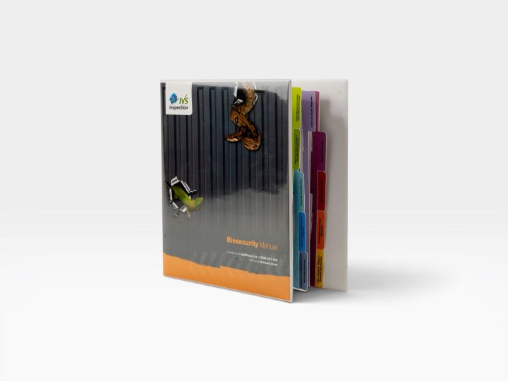 Folder  With Tabs Inside